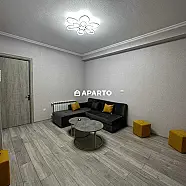 70 ლარი ღამე, ბინა დღიურად