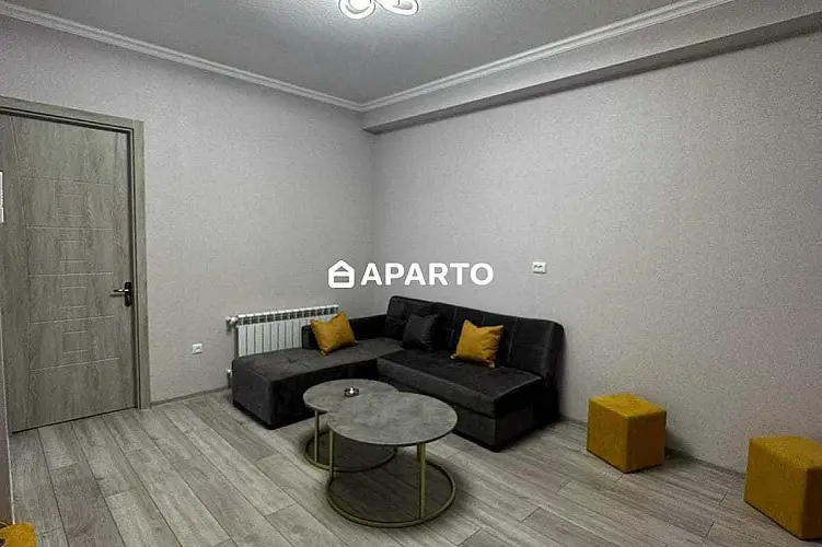 70 ლარი ღამე, ბინა დღიურად