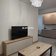 50 ლარი ღამე, ბინა დღიურად