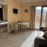 130 ლარი ღამე, ბინა დღიურად