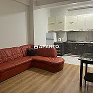 70 ლარი ღამე, ბინა დღიურად