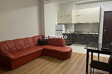 70 ლარი ღამე, ბინა დღიურად