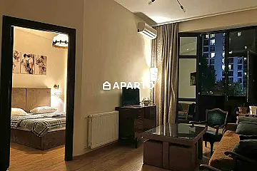 1 ლარი ღამე, ბინა დღიურად