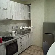 80 ლარი ღამე, ბინა დღიურად