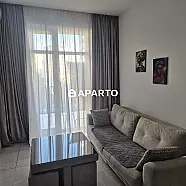50 ლარი ღამე, ბინა დღიურად