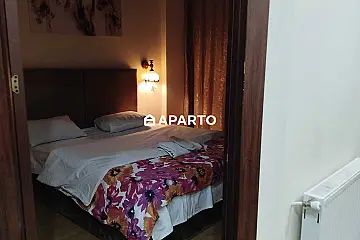 1 ლარი ღამე, ბინა დღიურად