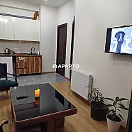 1 ლარი ღამე, ბინა დღიურად