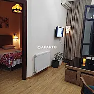 1 ლარი ღამე, ბინა დღიურად