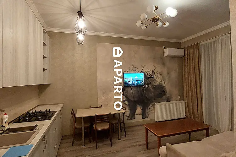 90 ლარი ღამე, ბინა დღიურად