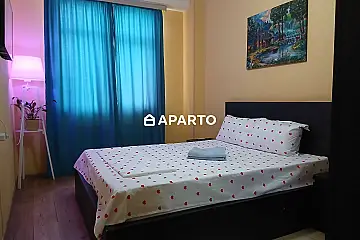 60 ლარი ღამე, ბინა დღიურად