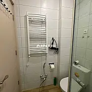 80 ლარი ღამე, ბინა დღიურად