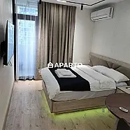 50 ლარი ღამე, ბინა დღიურად
