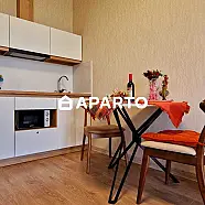 50 ლარი ღამე, ბინა დღიურად