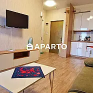 50 ლარი ღამე, ბინა დღიურად