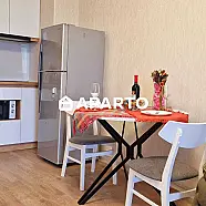 50 ლარი ღამე, ბინა დღიურად