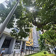 100 ლარი ღამე, ბინა დღიურად