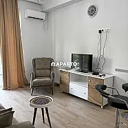 80 ლარი ღამე, ბინა დღიურად