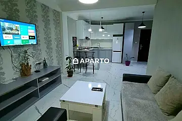 60 ლარი ღამე, ბინა დღიურად