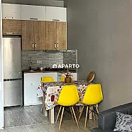 70 ლარი ღამე, ბინა დღიურად