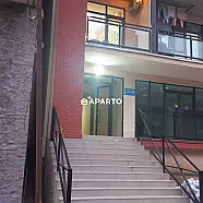 50 ლარი ღამე, ბინა დღიურად