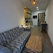 69 ლარი ღამე, ბინა დღიურად
