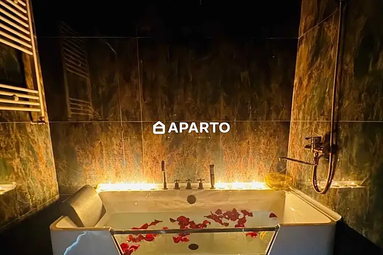 70 ლარი ღამე, ბინა დღიურად
