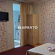 30 ლარი ღამე, ბინა დღიურად