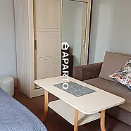 30 ლარი ღამე, ბინა დღიურად