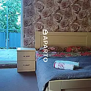 30 ლარი ღამე, ბინა დღიურად