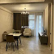 100 ლარი ღამე, ბინა დღიურად
