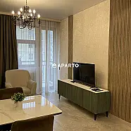 100 ლარი ღამე, ბინა დღიურად