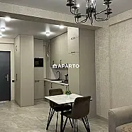 100 ლარი ღამე, ბინა დღიურად