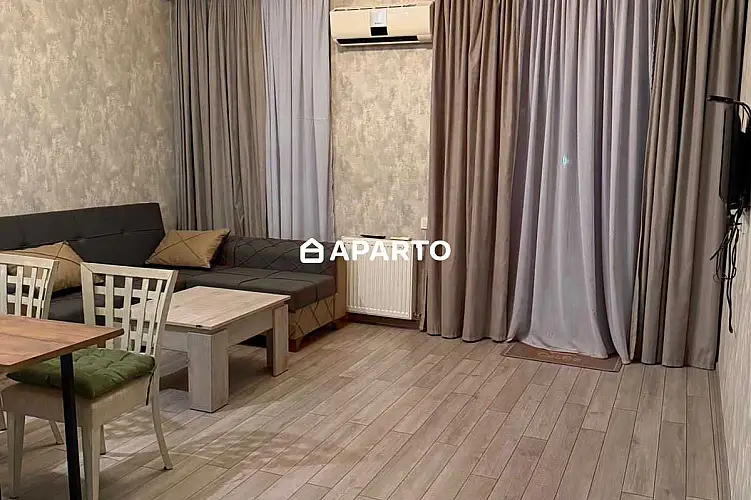 100 ლარი ღამე, ბინა დღიურად