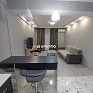 50 ლარი ღამე, ბინა დღიურად