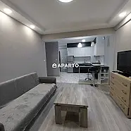 50 ლარი ღამე, ბინა დღიურად