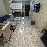 90 ლარი ღამე, ბინა დღიურად