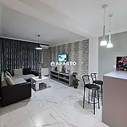 60 ლარი ღამე, ბინა დღიურად