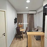 50 ლარი ღამე, ბინა დღიურად