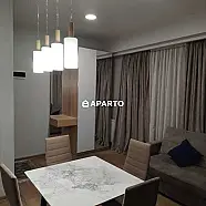 50 ლარი ღამე, ბინა დღიურად