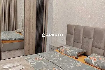 50 ლარი ღამე, ბინა დღიურად