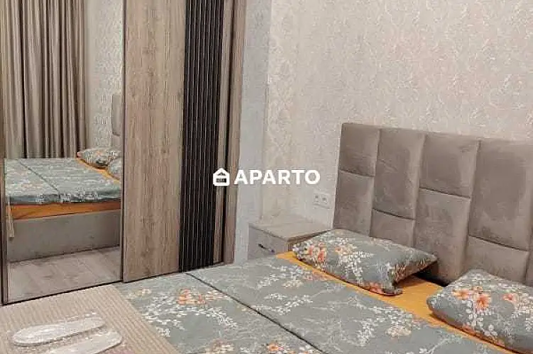 50 ლარი ღამე, ბინა დღიურად