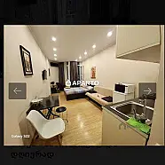 60 ლარი ღამე, ბინა დღიურად