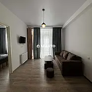 80 ლარი ღამე, ბინა დღიურად