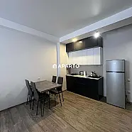 80 ლარი ღამე, ბინა დღიურად