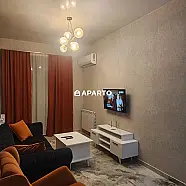 180 ლარი ღამე, ბინა დღიურად