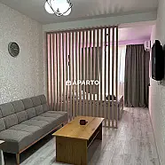 80 ლარი ღამე, ბინა დღიურად