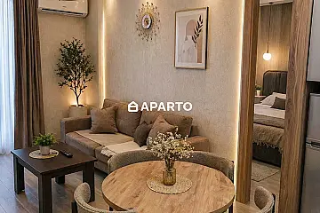 50 ლარი ღამე, ბინა დღიურად