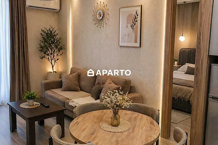 50 ლარი ღამე, ბინა დღიურად