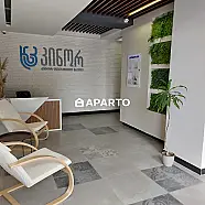 90 ლარი ღამე, ბინა დღიურად