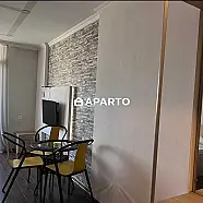 55 ლარი ღამე, ბინა დღიურად